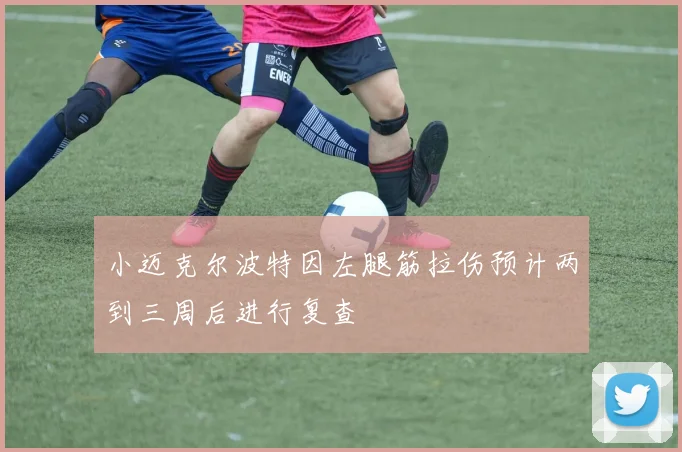 小迈克尔波特因左腿筋拉伤预计两到三周后进行复查