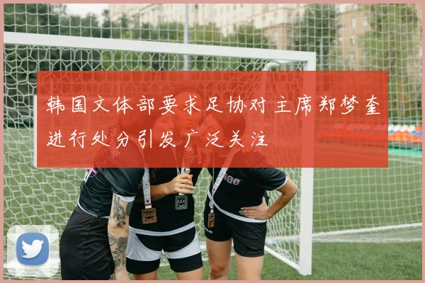 韩国文体部要求足协对主席郑梦奎进行处分引发广泛关注